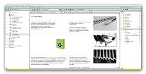 Screenshop BizzView CMS